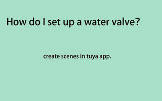 What can we do for our water valve?