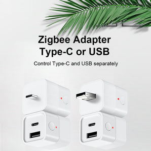 Haozee 2 in 1 Zigbee 3.0 Smart USB Adapter Switch Mini USB Type-C Power Adaptor Plug Works with Home Assistant Zigbee2MQTT ZHA