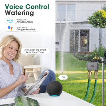 amazon automatic plant waterer Haozee Irrigation Computer WLAN with 2 Outputs, Automatic Timed Wateri