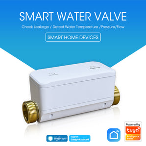 Haozee Tuya Smart Water Valve and Automatic Shutoff Water Flow Meter Water Leak Detector Remote Control